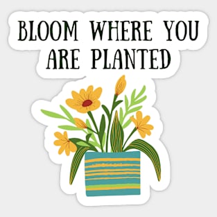 Bloom where you are planted Sticker